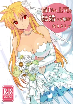 (C93) [Studio Himawari (Himukai Kyousuke)] Akogare no Joushi to Kekkon Suru Koto ni Narimashite (Mahou Shoujo Lyrical Nanoha) [Korean]