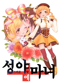 (Mou Nanimo Kowakunai 4) [Nedaore (Ayane)] Seiya ni Majo | 성야에 마녀 (Puella Magi Madoka Magica) [Korean]