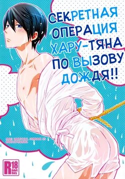 (Renai Endorphin) [Sneeeze (Kubu)] Haru-chan no Maru-Hi Amagoi Daisakusen!! | Секретная операция Хару-тяна по вызову дождя!! (Free!) [Russian] [Nik, Leri]