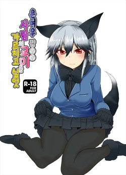 (Japariket 3) [Caution (Eitaisa)] Gingitsune-chan ni Hito no Koubi o Oshietai | 은여우 쨩에게 사람의 교미를 가르치고 싶엇 (Kemono Friends) [Korean]