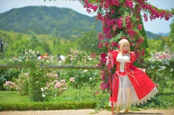 (C93) [Shooting Star's (Saku)] Nero Collection