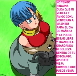 (Dicasty) BULMA Y PETISA SAGA MAJIN BU