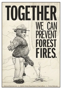 Smokey Bear (RYC)