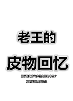 Skin recollection（潜水员汉化）