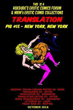PIG #15  NEW YORK, NEW YORK - A JKSKINSFAN TRANSLATION