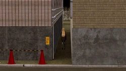 [Zarzaparrilla] The Road - Part 1