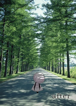 [ACID CLUB (nagare)] after (Touhou Project) [Digital]