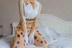 【少女映畫】Serval | 藪猫(Kemono Friends)