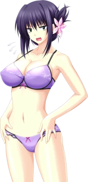 [Atelier Kaguya Honky-Tonk Pumpkin] EROTICA Yuuwaku Kenshuu Hajimaru yo ~Shigoichau kara Kakugonasai!~ Character CGs Part 1/3