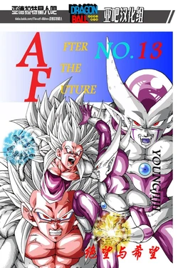 [youngjijii]新龍珠af vol.13(DRAGON BALL)(CHINESE)