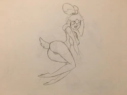 Sketches of a Newbie