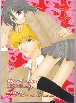 [TRANCEG (Tokugawa Miyo)] Lovers' Soul (Bleach)