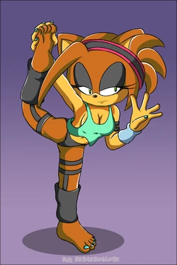 [HedgehogLove] Klara's stretching exercises~ (Sonic The Hedgehog)