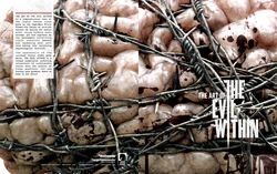 Art of The Evil Within