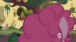 Pinkie Pie Plot