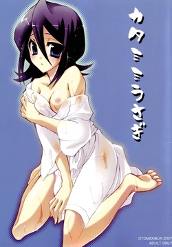 (SC34) [OTOMEKIBUN (Sansyoku Amido.)] Katamimi Usagi (BLEACH)