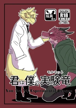 (Shinshun Kemoket 5) [4D-POCKET (Kurumi Ken)] Kimi wa Boku no Marmot | You are My Experimental Dragon [Korean] [Mordy]