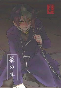 (Sennen ☆ Battle in Fukuoka 5) [Chupakabura56 (Mezurasi Niko)] Kago no Hayabusa (Yu-Gi-Oh! ARC-V)