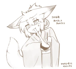 [PIXIV]sakifox(110061)_[2016-2017]