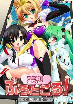 [Triangle] Mousou Protocol! － Hime x Miko x Robot －