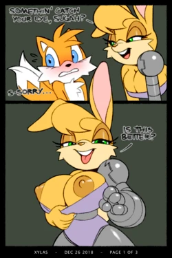 [Xylas] Tails x Bunnie