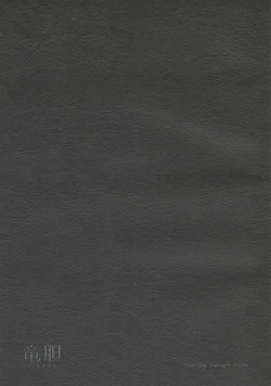 Rindou - Na-Ga rough note