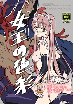 (C93) [VOLVOX (Kizaki)] Joou no Shikisai (Fate/Grand Order) [Chinese] [靴下汉化组]