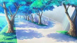 [Palette] Koi ga Saku Koro Sakura Doki (Background)