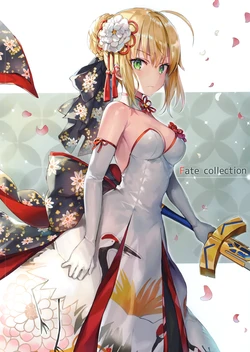 (C94) [Sashimi Necoya (Momoco)] Fate collection (Fate/Grand Order)