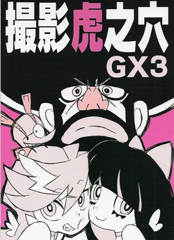 PSG PANTY & STOCKING WITH GARTERBELT Art Works Satsuei Toranoana GX3