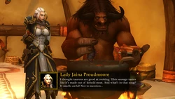 world of warcraft(jaina proudmoore)