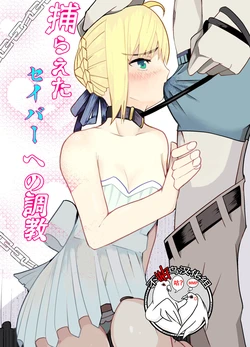 [Kibawomuku (Mucukiva)] Toraeta Saber e no Choukyou (Fate/stay night) [Chinese] [不咕鸟汉化组]