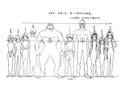 Ah  My Goddess Animation Reference Materials Settei