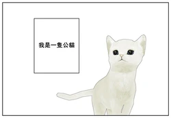 [A帆] 中學二年級的魔法少女 系列 [Chinese][這是一般向]