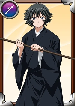 Ikkitousen Cards Coleccyion  Bunken Gakushin set