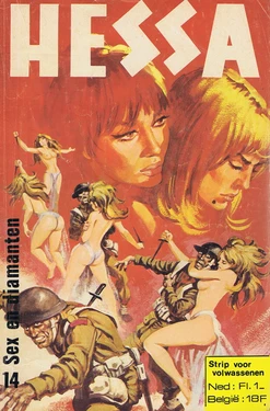 Hessa - 14 - Sex En Diamanten (Dutch)