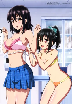 Megami Magazine #233 2019-11