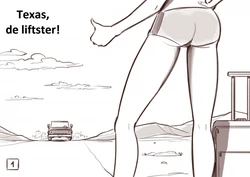 Disarten - Texas liftster (Dutch)