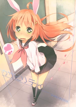 (COMITIA120) [grand-nauts (Hirose Madoka)] Usa-ability