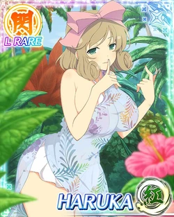 Senran Kagura New Wave Haruka Collection