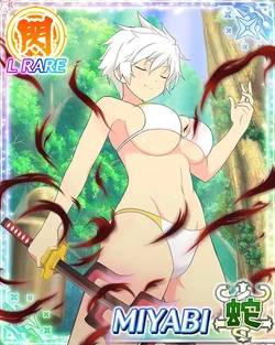 Senran Kagura New Wave Miyabi Collection