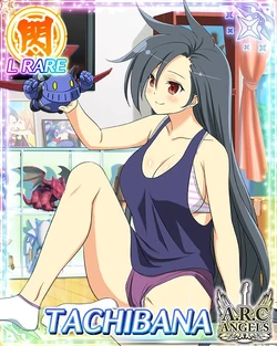 Senran Kagura New Wave Tachibana Collection