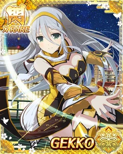 Senran Kagura New Wave Gekkou and Senkou Collection