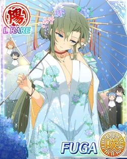 Senran Kagura New Wave Fuga Collection