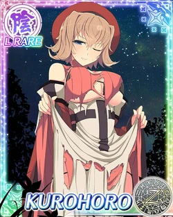 Senran Kagura New Wave Kurohoro Collection