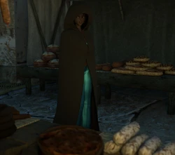 [Zafo] Sneaking Out (Aladdin)