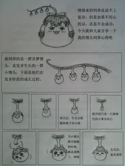 [HY83523]油库里杂篇5