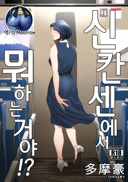 [Tamagou] Shinkansen de Nani Shiteru!? | 신칸센에서 뭐 하는 거야!? [Korean] [Meorrow]