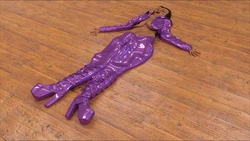 [SK]维罗妮卡·皮（K记翻译）