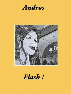 Flash (Dutch)